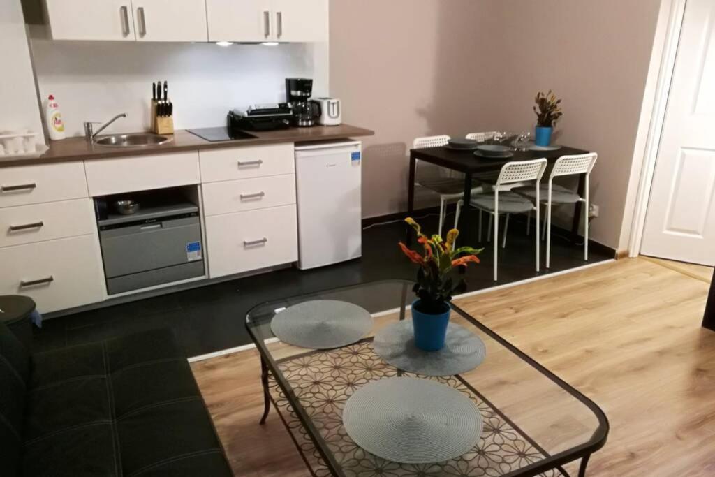 Sophus Respite. Samo Centrum Krakowa Buitenkant foto